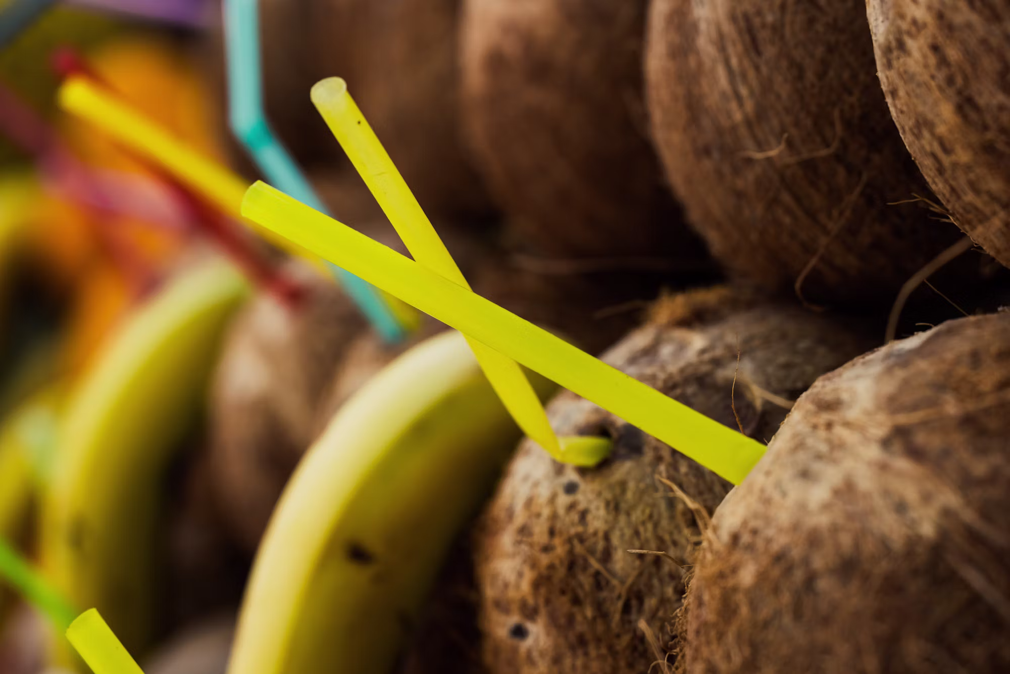 Exploring the Benefits of a Plant-Based Diet